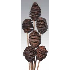 SPIRAL CONES Natural 16"-